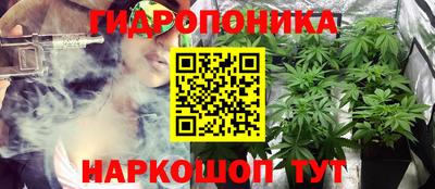 ГАЛЛЮЦИНОГЕННЫЕ ГРИБЫ Кулебаки