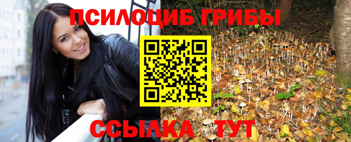 Псилоцибиновые грибы Psilocybe  Вход с VPN  Учалы 