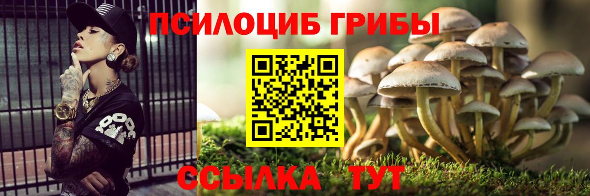 Галлюциногенные грибы GOLDEN TEACHER Учалы